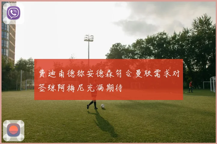 费迪南德称安德森符合曼联需求对签琼阿梅尼充满期待