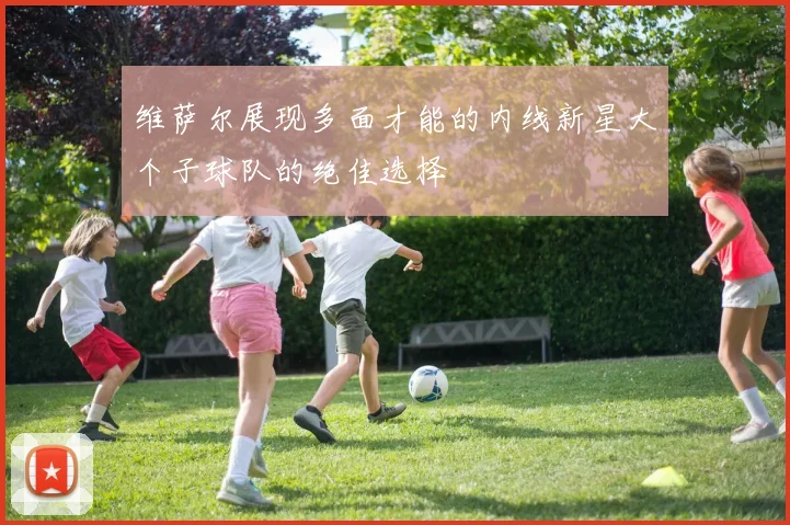 维萨尔展现多面才能的内线新星大个子球队的绝佳选择