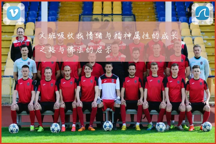 文班吸收我情绪与精神属性的成长之路与佛法的启示